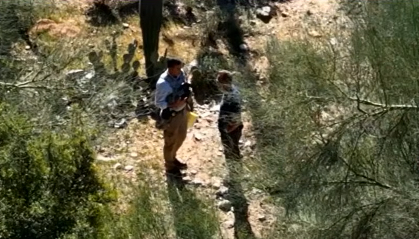 NYC Snowstorm Search: No Related Info in This Outlook Guide